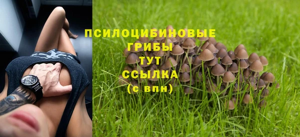 ALPHA-PVP Медвежьегорск