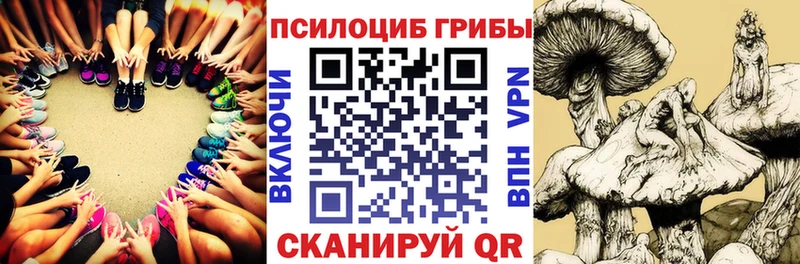 Галлюциногенные грибы Psilocybine cubensis мега как зайти Яровое